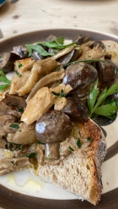 pile of chestnut and oyster mushrooms, sprinkled with parsley, on a slice of bread.